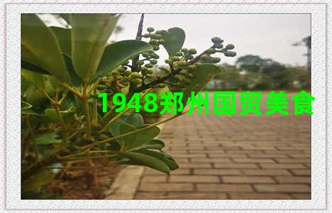 1948郑州国贸美食
