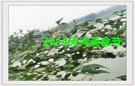 2014天河美食节