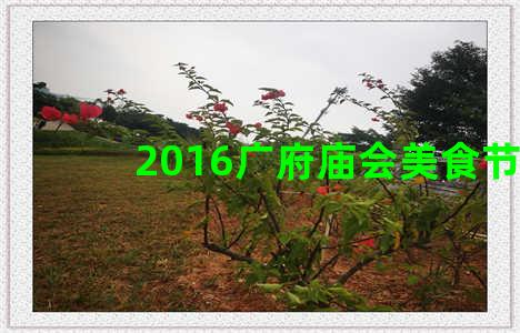 2016广府庙会美食节