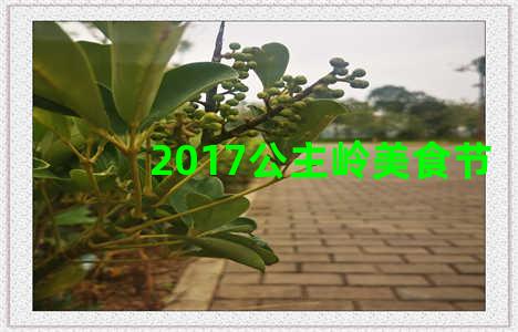 2017公主岭美食节