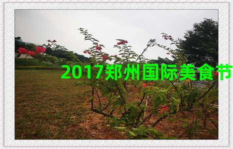 2017郑州国际美食节