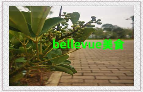 bellevue美食