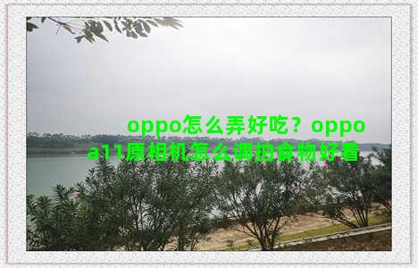 oppo怎么弄好吃？oppoa11原相机怎么调拍食物好看