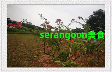 serangoon美食