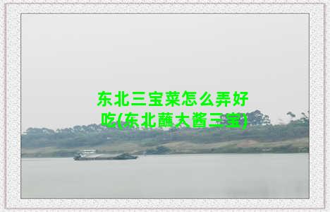 东北三宝菜怎么弄好吃(东北蘸大酱三宝)