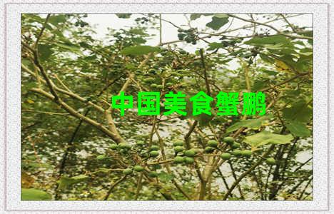 中国美食蟹鹏