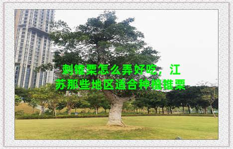 刺锥栗怎么弄好吃，江苏那些地区适合种植锥栗