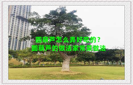 圆葫芦怎么弄好吃的？圆葫芦的做法家常菜做法