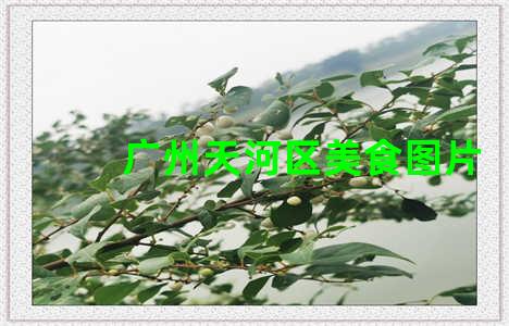 广州天河区美食图片