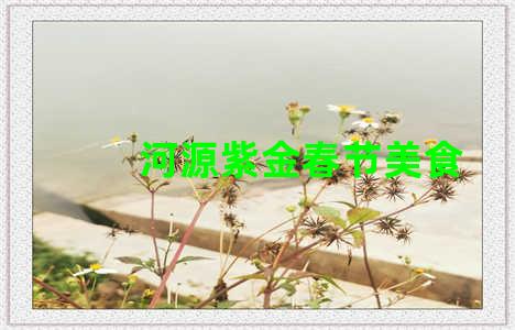 河源紫金春节美食