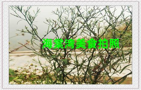 海棠湾美食拍照