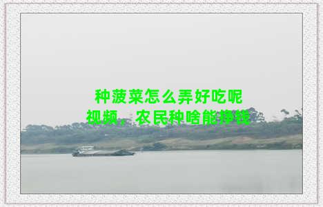 种菠菜怎么弄好吃呢视频，农民种啥能挣钱