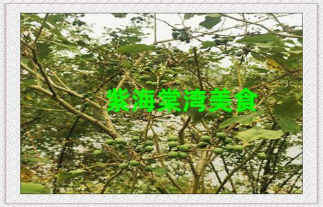 紫海棠湾美食