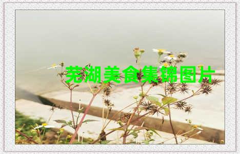 芜湖美食集锦图片